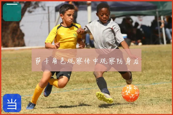 萨卡角色观察传中观察防身后